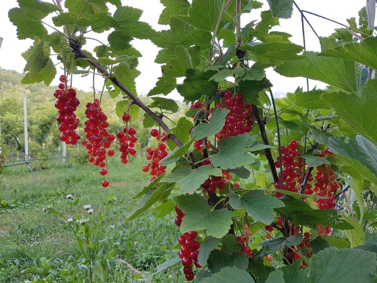 Agriturismo La Giasena Ponte nellʼAlpi Buitenkant foto