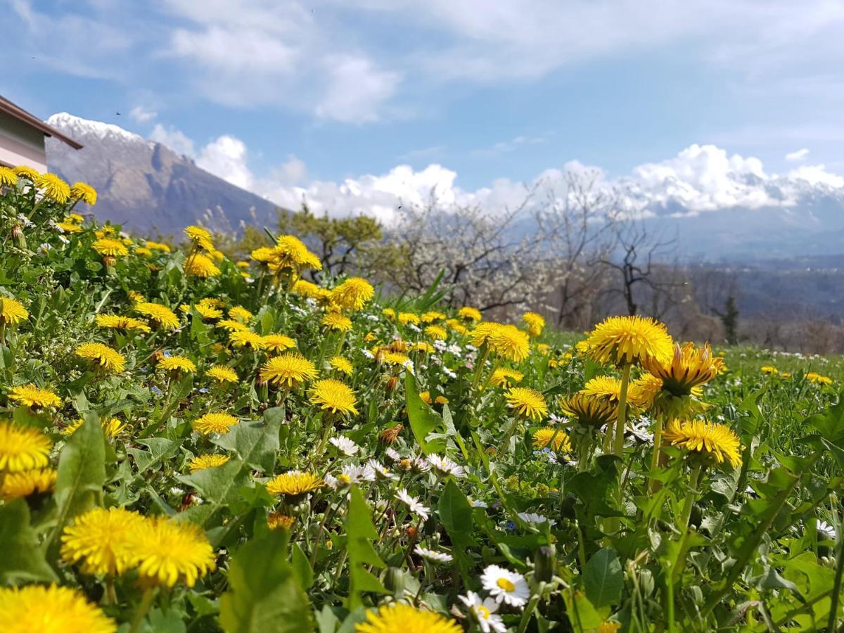 Agriturismo La Giasena Ponte nellʼAlpi Buitenkant foto