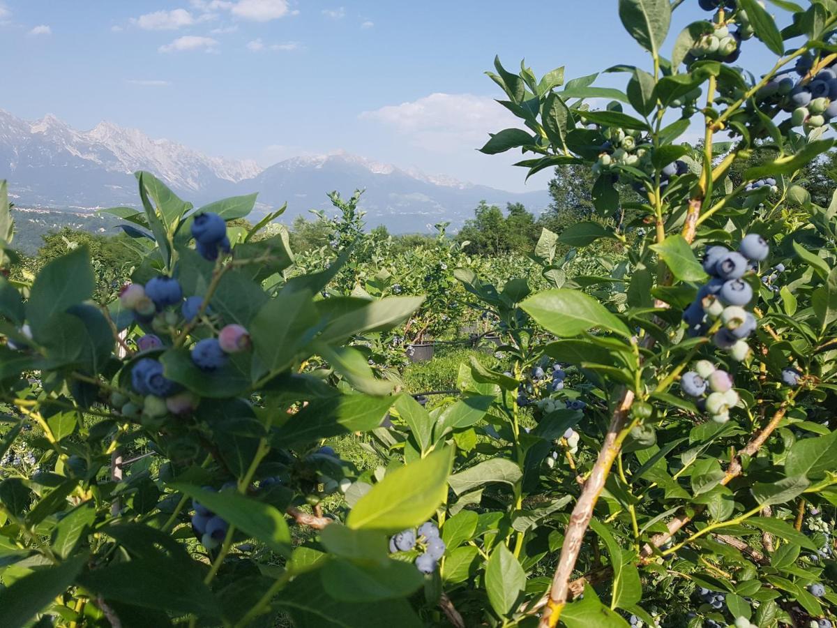 Agriturismo La Giasena Ponte nellʼAlpi Buitenkant foto